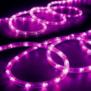 LED Rope Lights Outdoor Lighting, 8 modes - West Ivory LED Lighting