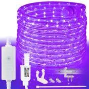 LED Rope Lights Outdoor Lighting, 8 modes - West Ivory LED Lighting