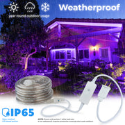 LED Rope Lights Outdoor Lighting, 8 modes - West Ivory LED Lighting