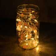 20 LED Beads and Hearts String Fairy Light 5 feet Battery Powered, Warm White - West Ivory LED Lighting